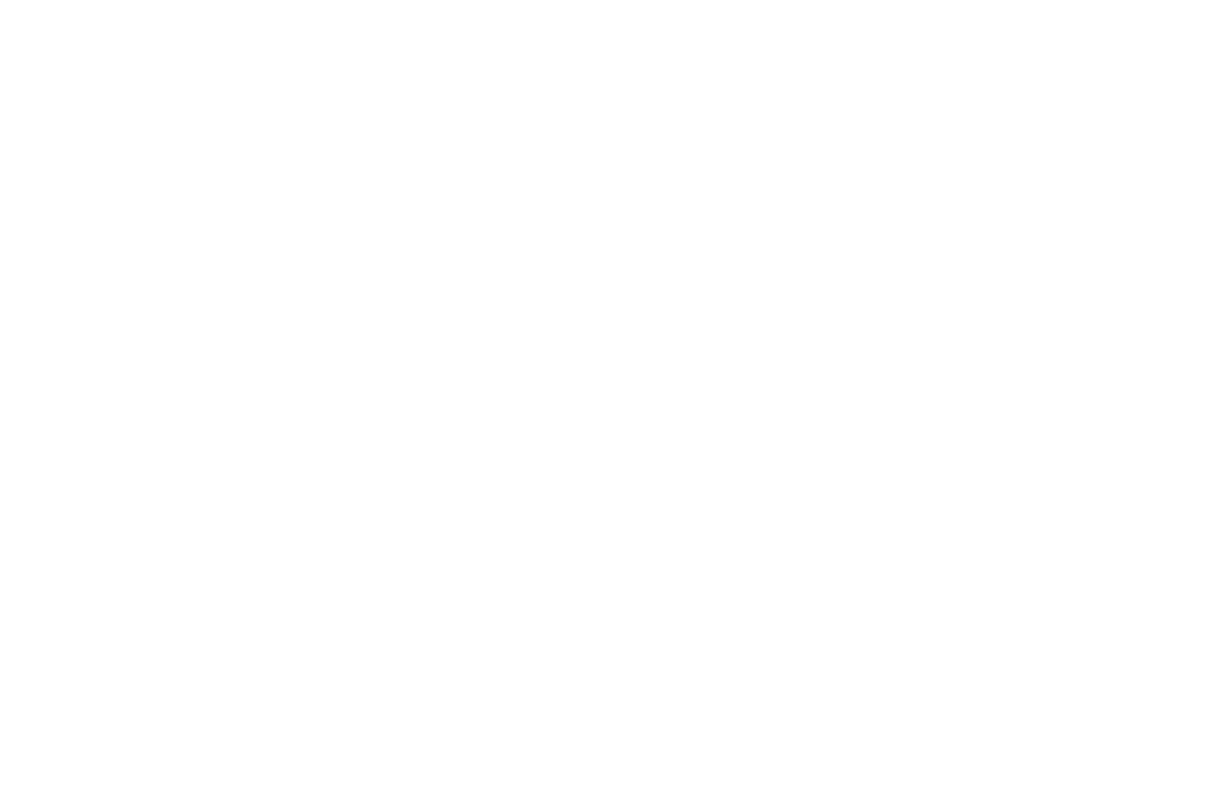 SEMI-FINALIST - Edmonton Short Film Festival - 2019